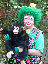 Photo - Greenie with monkey puppet
